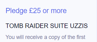 311px 《古墓丽影组曲》众筹金额和奖励