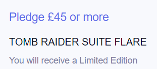 311px 《古墓丽影组曲》众筹金额和奖励