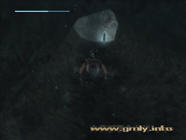 在水中得到银面具