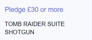 311px 《古墓丽影组曲》众筹金额和奖励