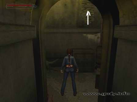 古墓丽影6代攻略